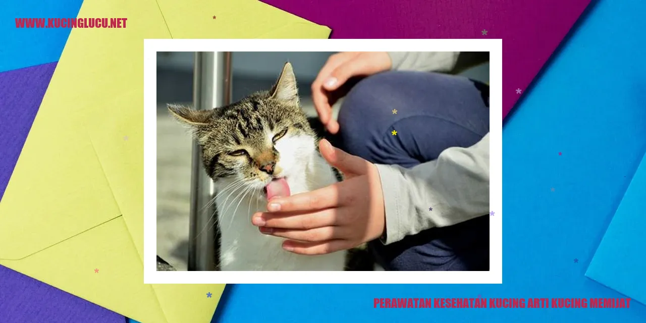 Kucing memijat