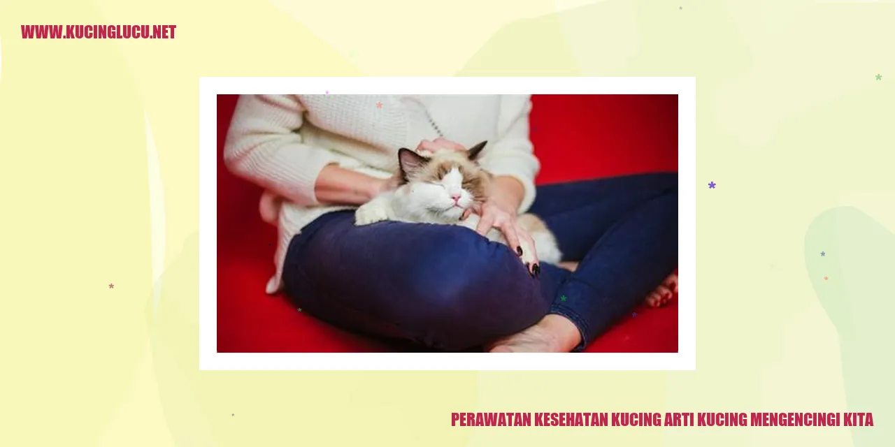 Gambar Kucing Mengencingi Kita