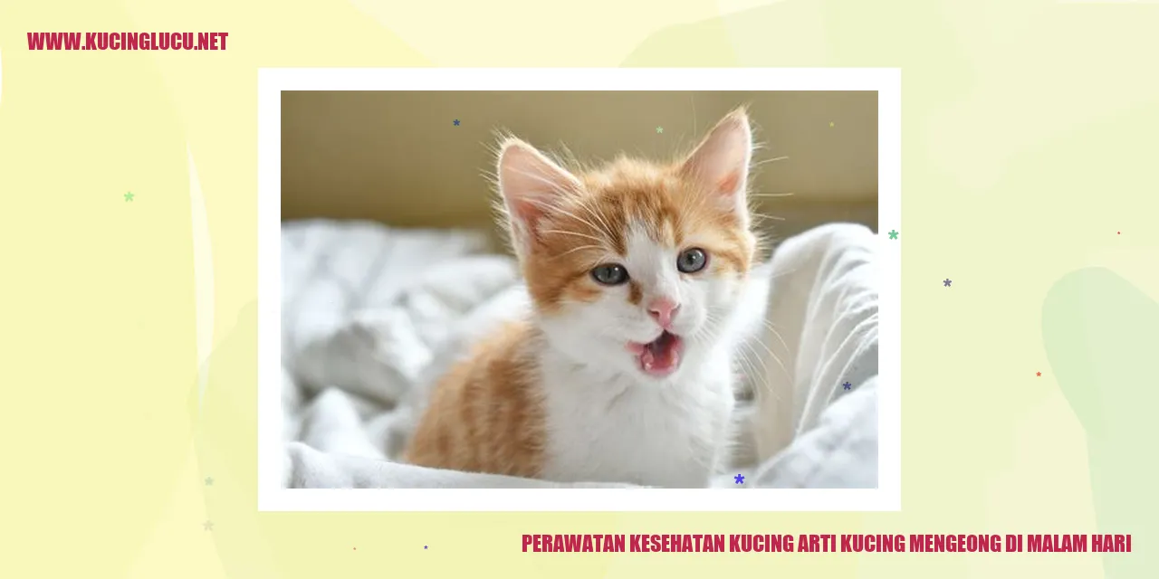 Perawatan Kesehatan Kucing