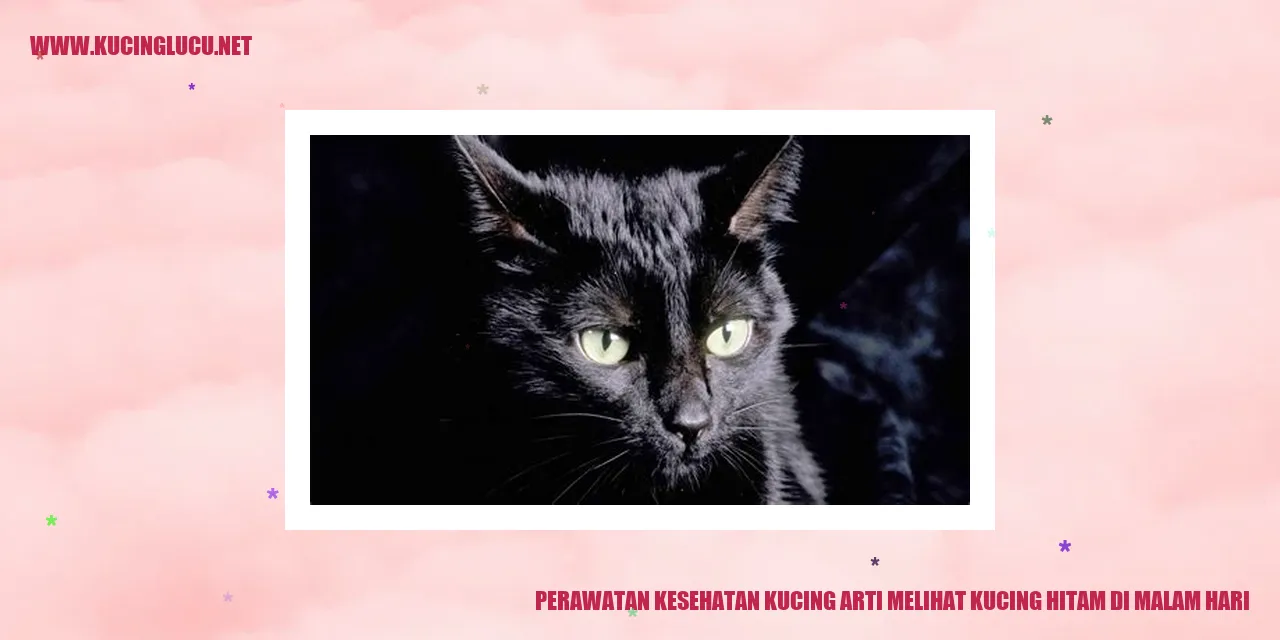 Kucing Hitam di Malam Hari