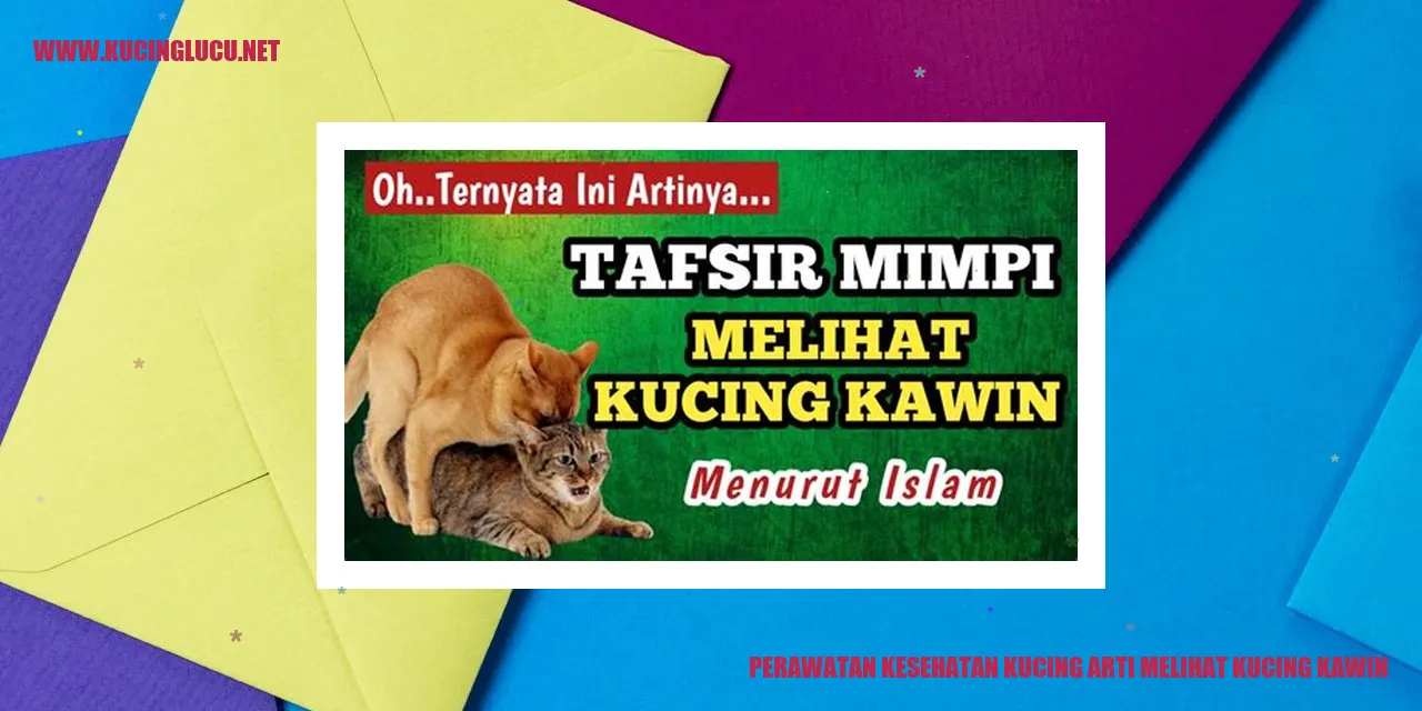 Perawatan Kesehatan Kucing
