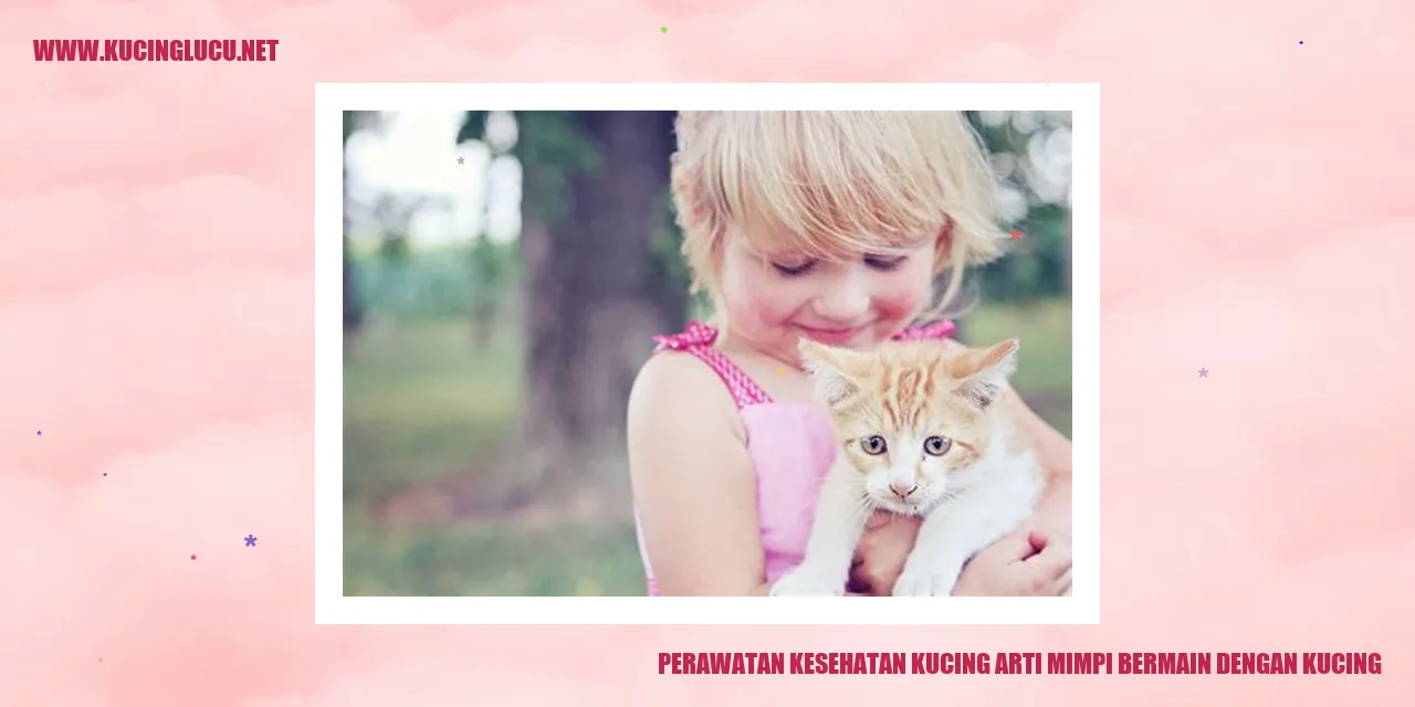 Gambar Kucing