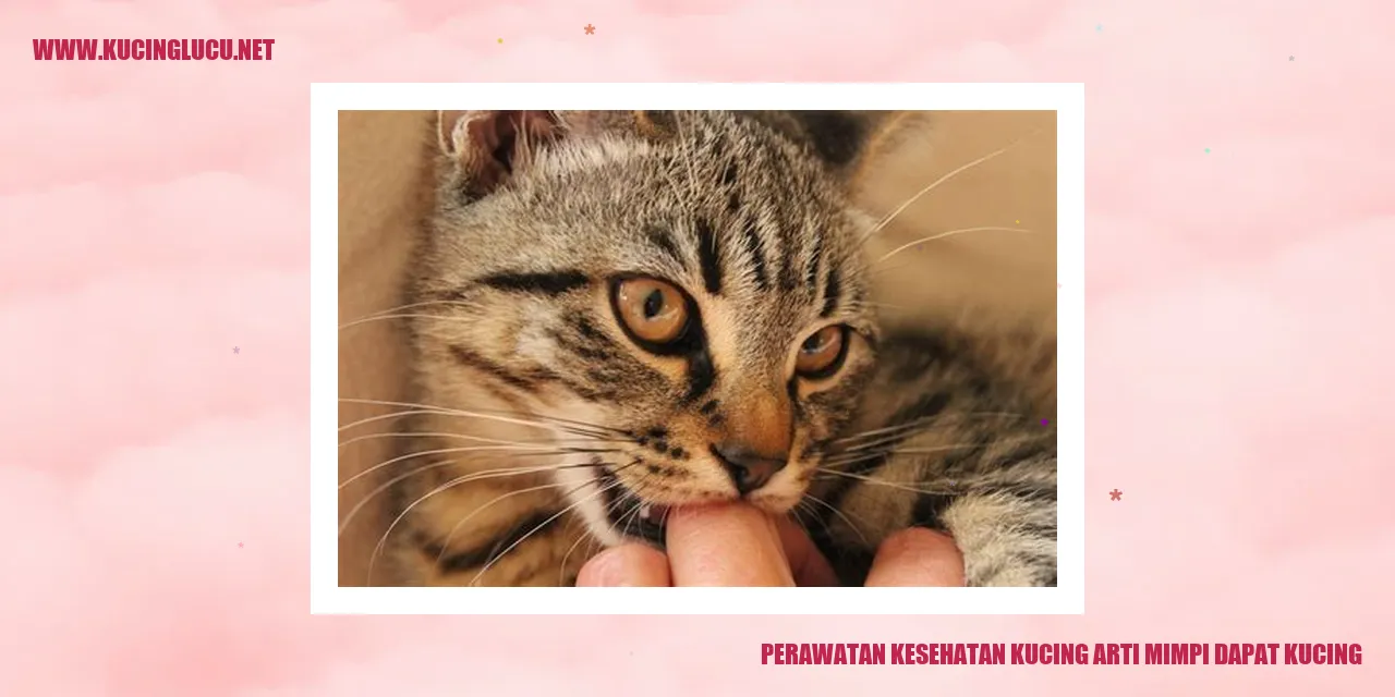 Gambar Perawatan Kesehatan Kucing