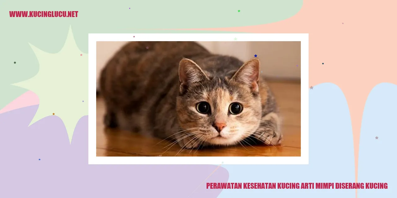 Perawatan Kesehatan Kucing arti mimpi diserang kucing