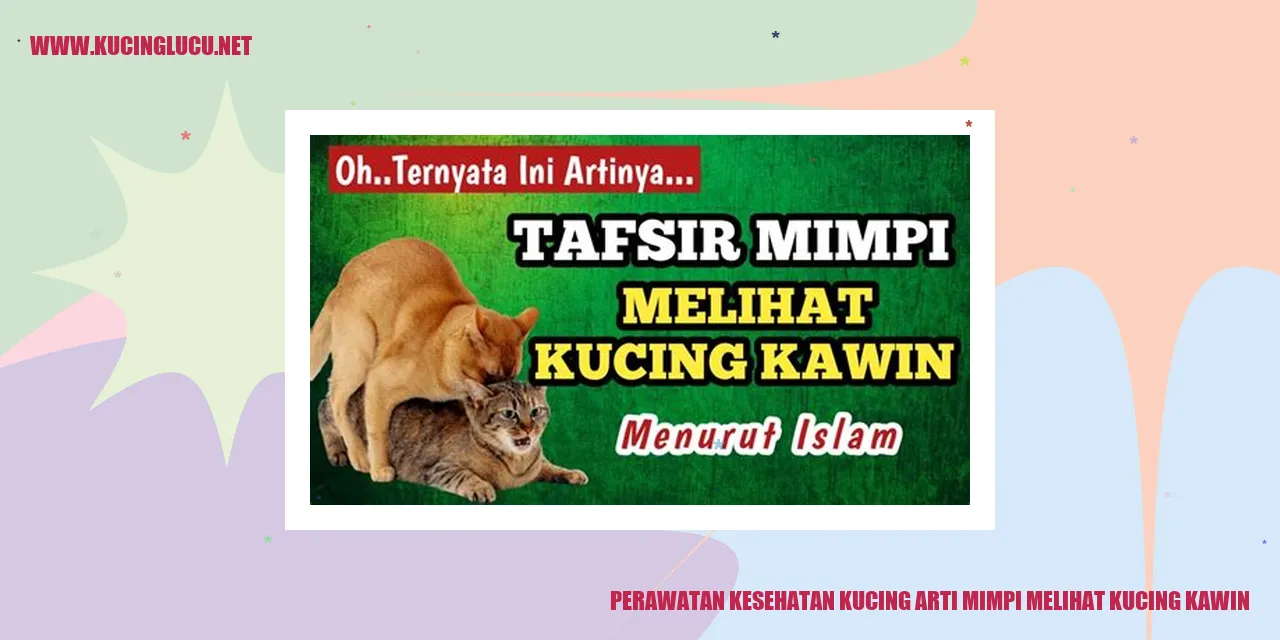 gambar kucing