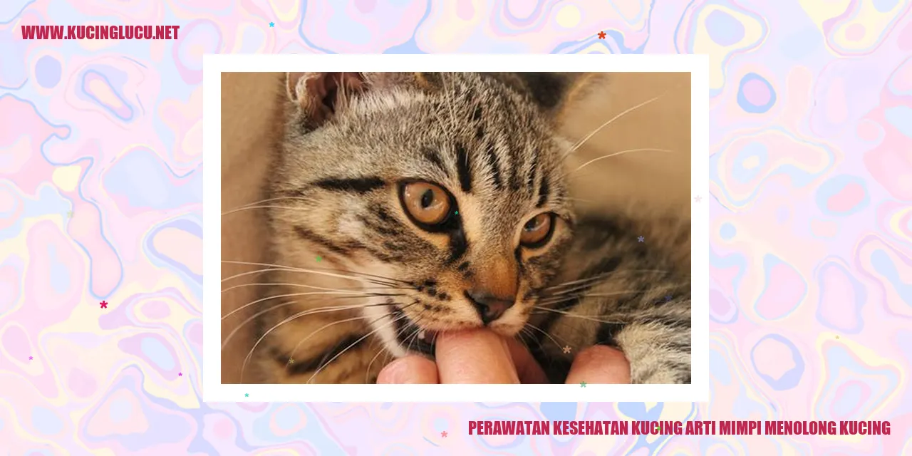 Perawatan Kesehatan Kucing Arti Mimpi Menolong Kucing