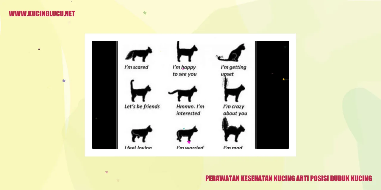 Kucing Duduk