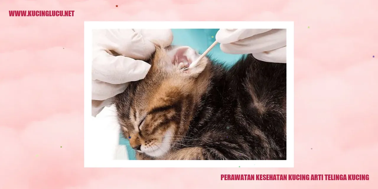 Perawatan Kesehatan Kucing