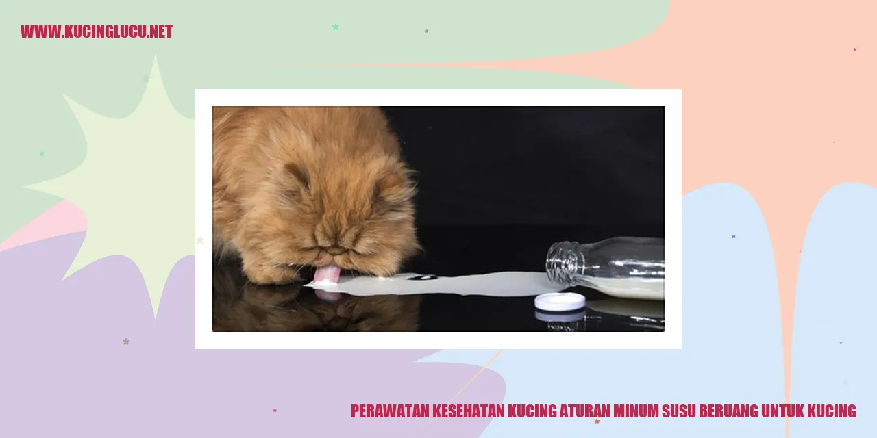 Perawatan Kesehatan Kucing