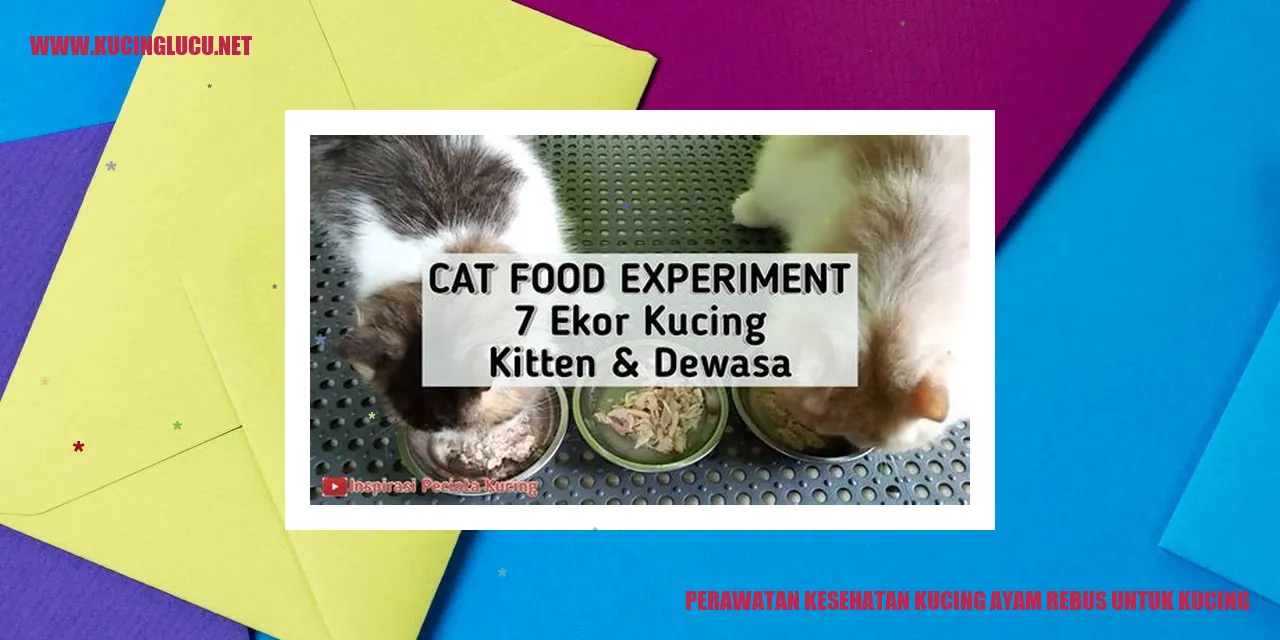 Gambar Kucing Makan Ayam Rebus