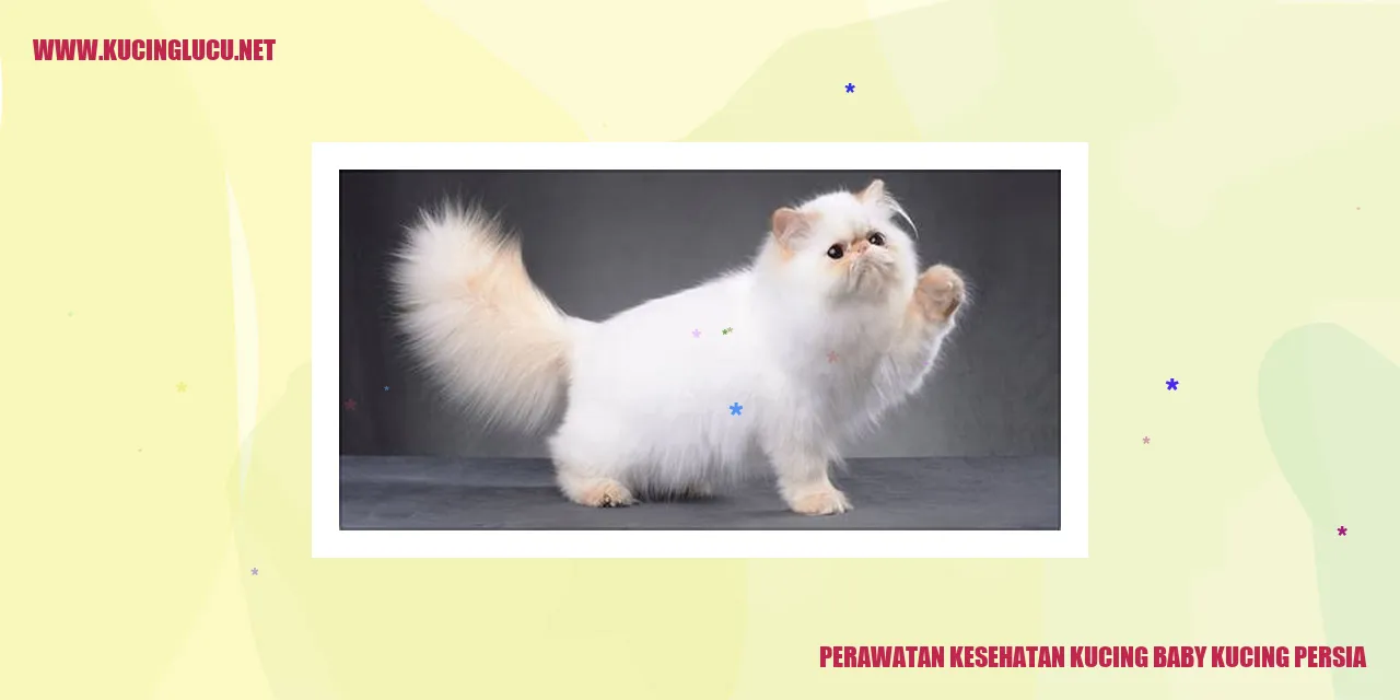 Perawatan Kesehatan Kucing Baby Kucing Persia