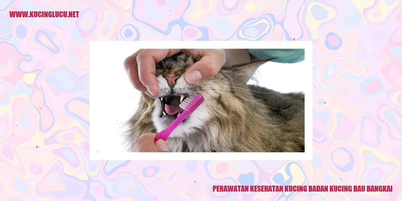 Kucing Sehat
