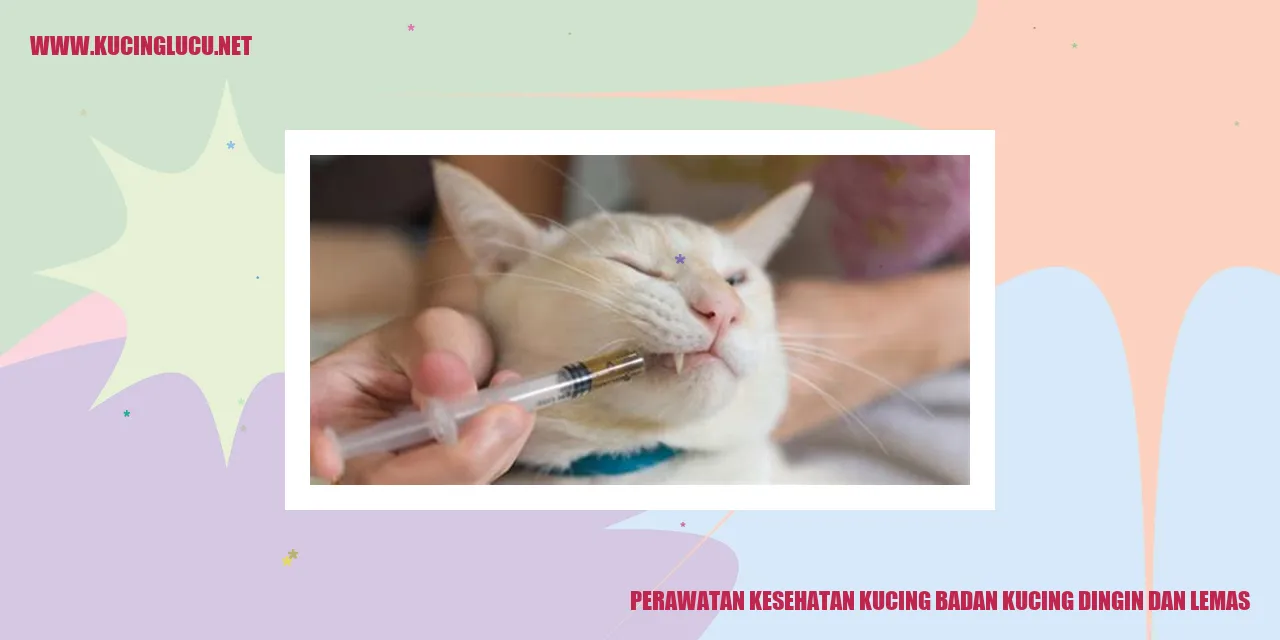 Gambar Kucing