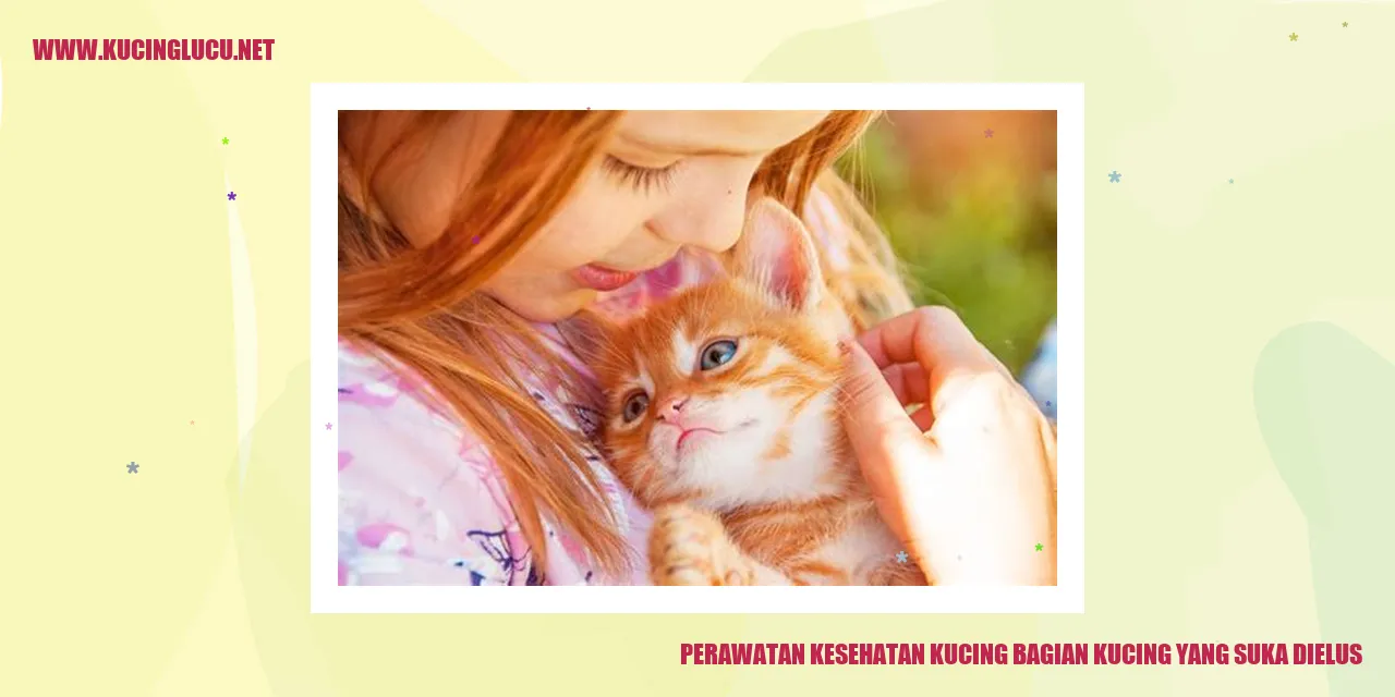 Perawatan Kucing yang Suka Dielus
