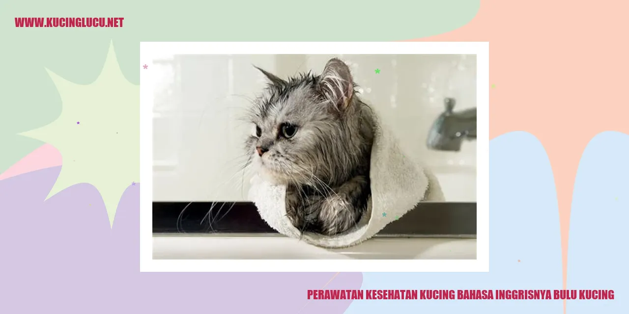 Bulu Kucing