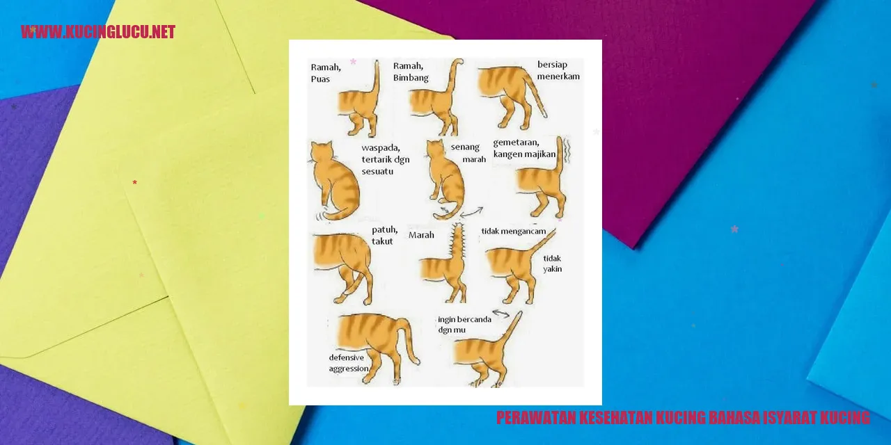 Perawatan Kesehatan Kucing melalui Bahasa Isyarat