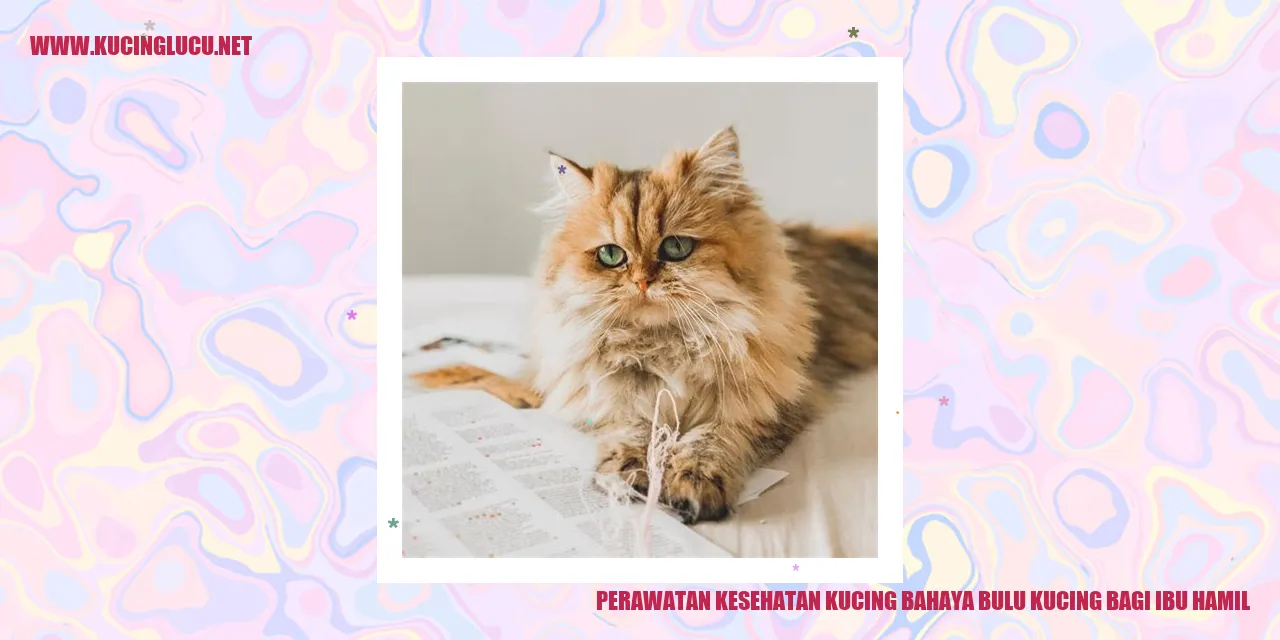 Bulu Kucing dan Ibu Hamil