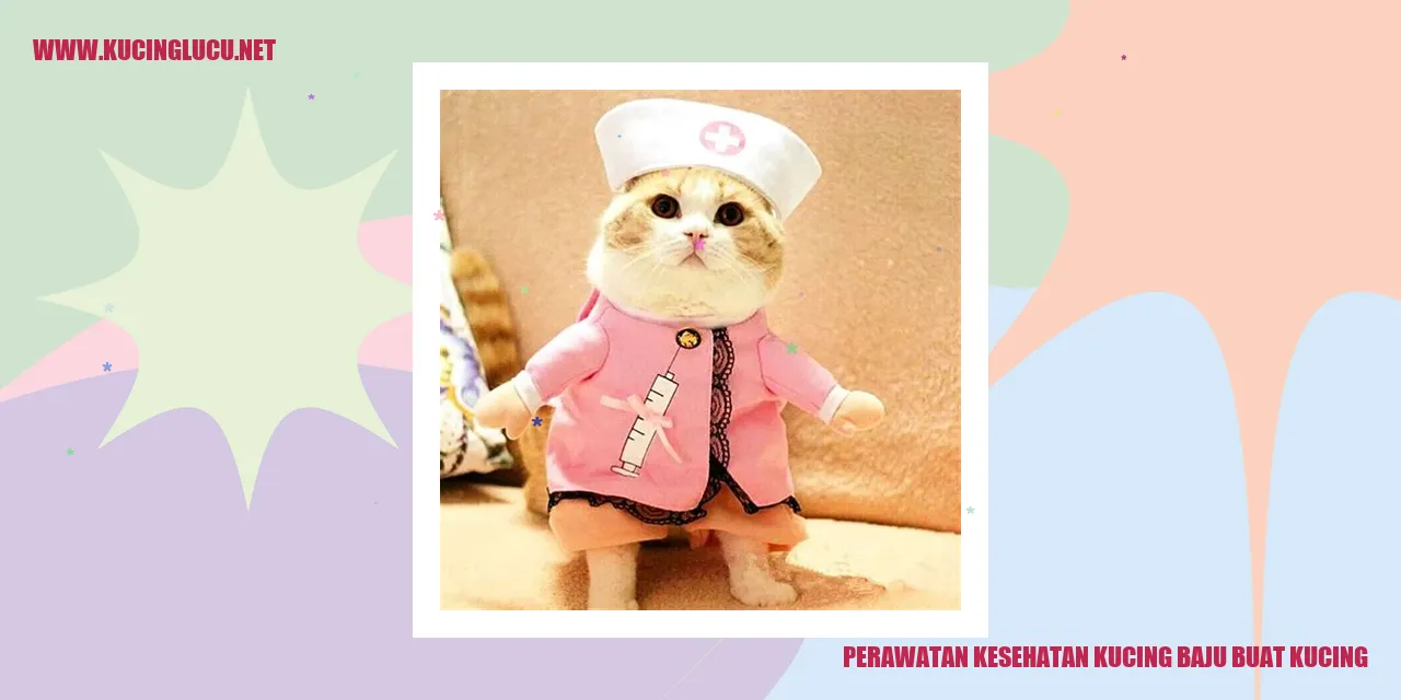 Perawatan Kesehatan Kucing