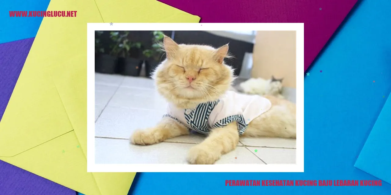 Perawatan Kesehatan Kucing Baju Lebaran Kucing