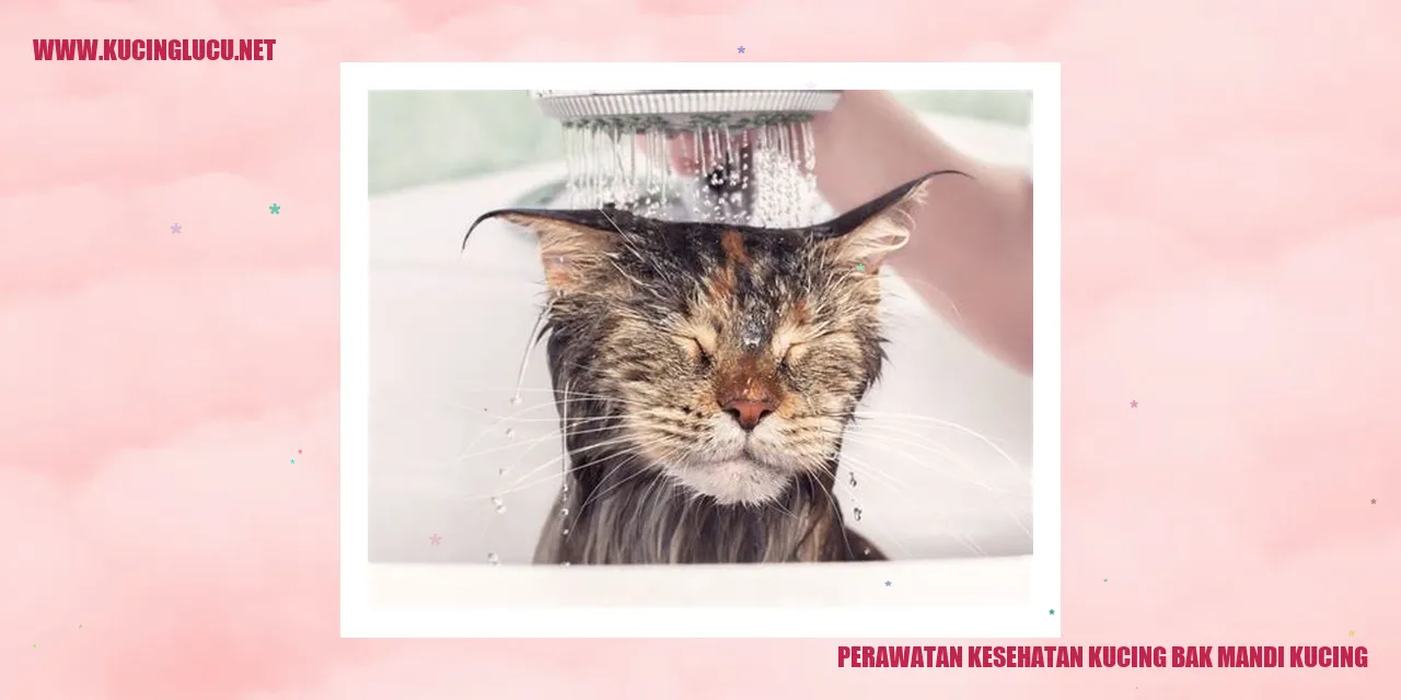 Perawatan Kesehatan Kucing
