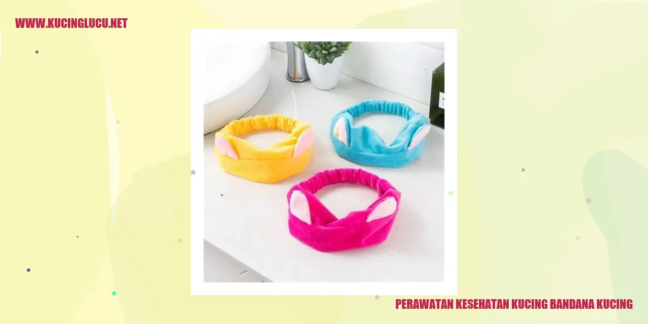 Perawatan Kesehatan Kucing dengan Bandana Kucing