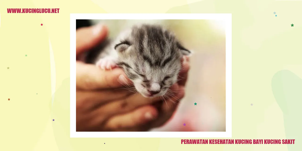 Gambar Kucing Bayi Sakit
