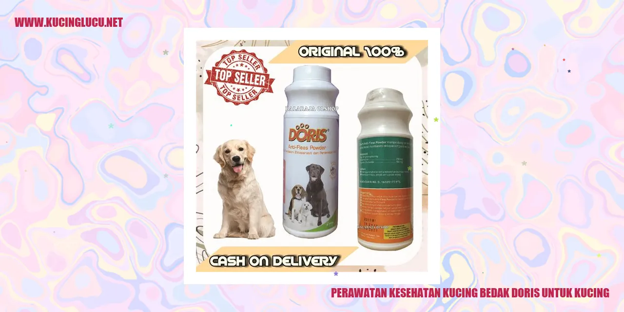 Perawatan Kesehatan Kucing dengan Bedak Doris