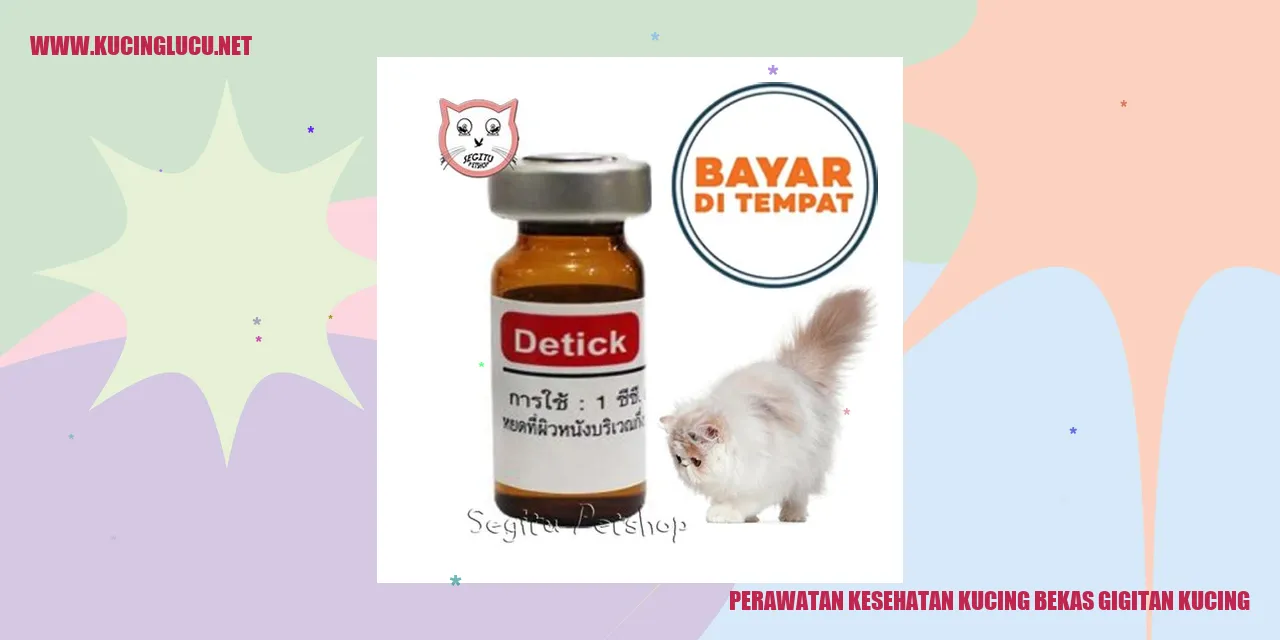 Perawatan Kesehatan Kucing Bekas Gigitan Kucing