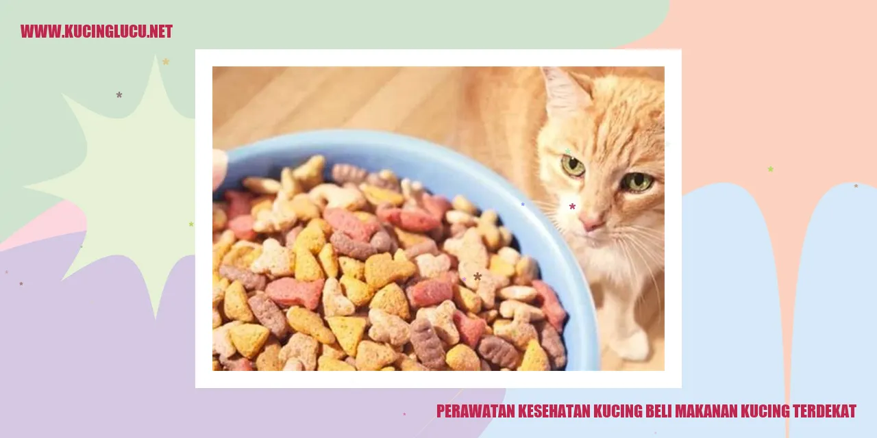 Gambar Kucing