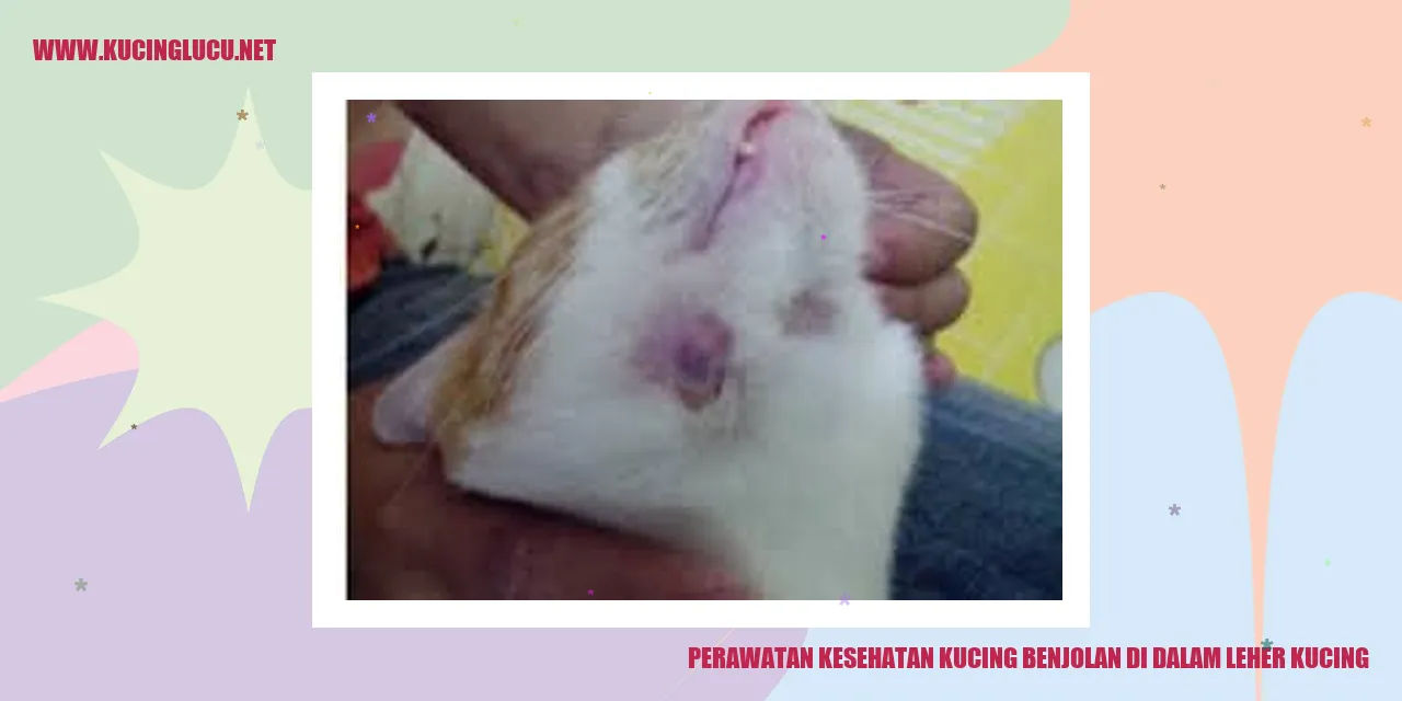 gambar kucing dengan benjolan pada lehernya