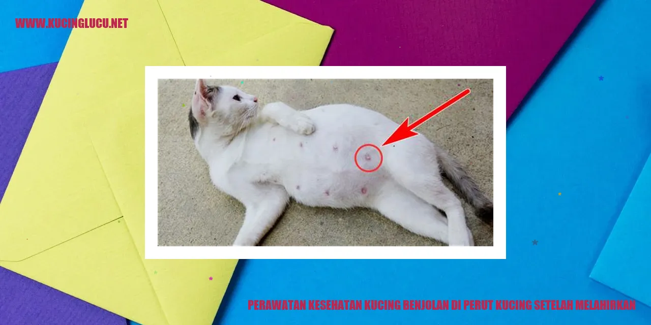 Perawatan Kesehatan Kucing Setelah Melahirkan