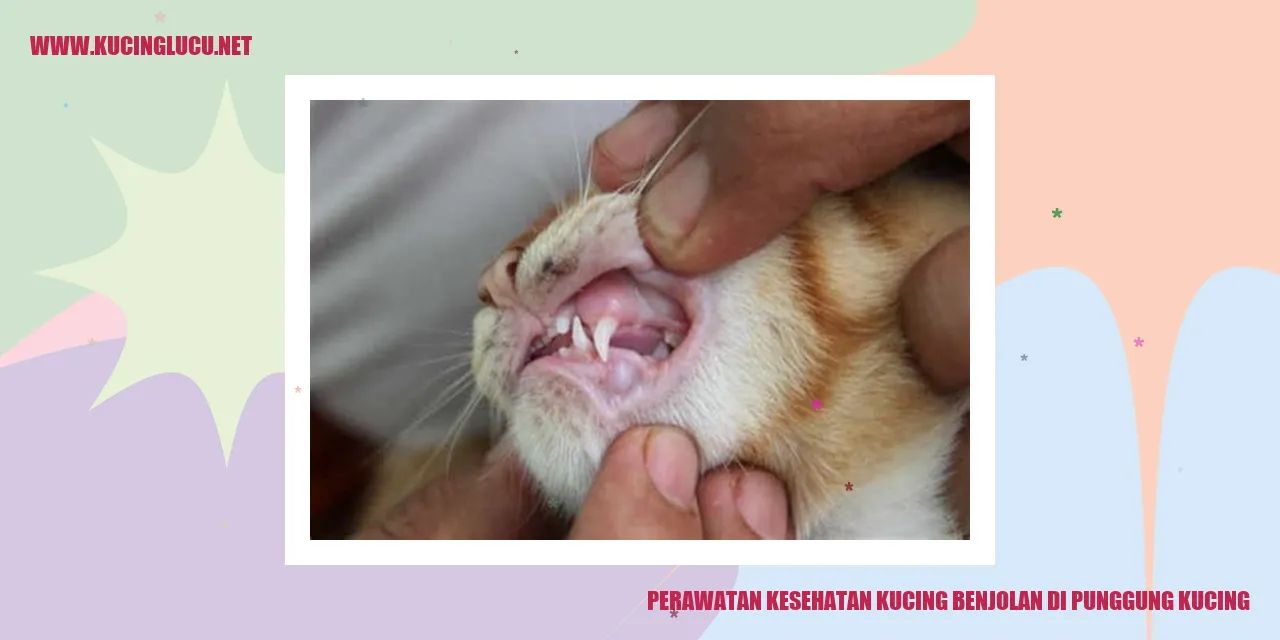 gambar kucing dengan benjolan di punggung