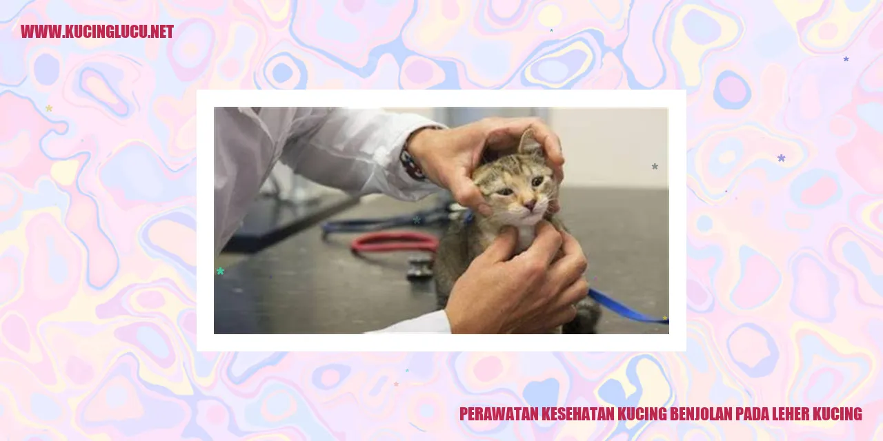 Perawatan Kesehatan Kucing benjolan pada leher kucing