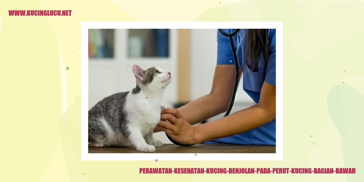 Perawatan Kesehatan Kucing: Benjolan pada Perut Bagian Bawah