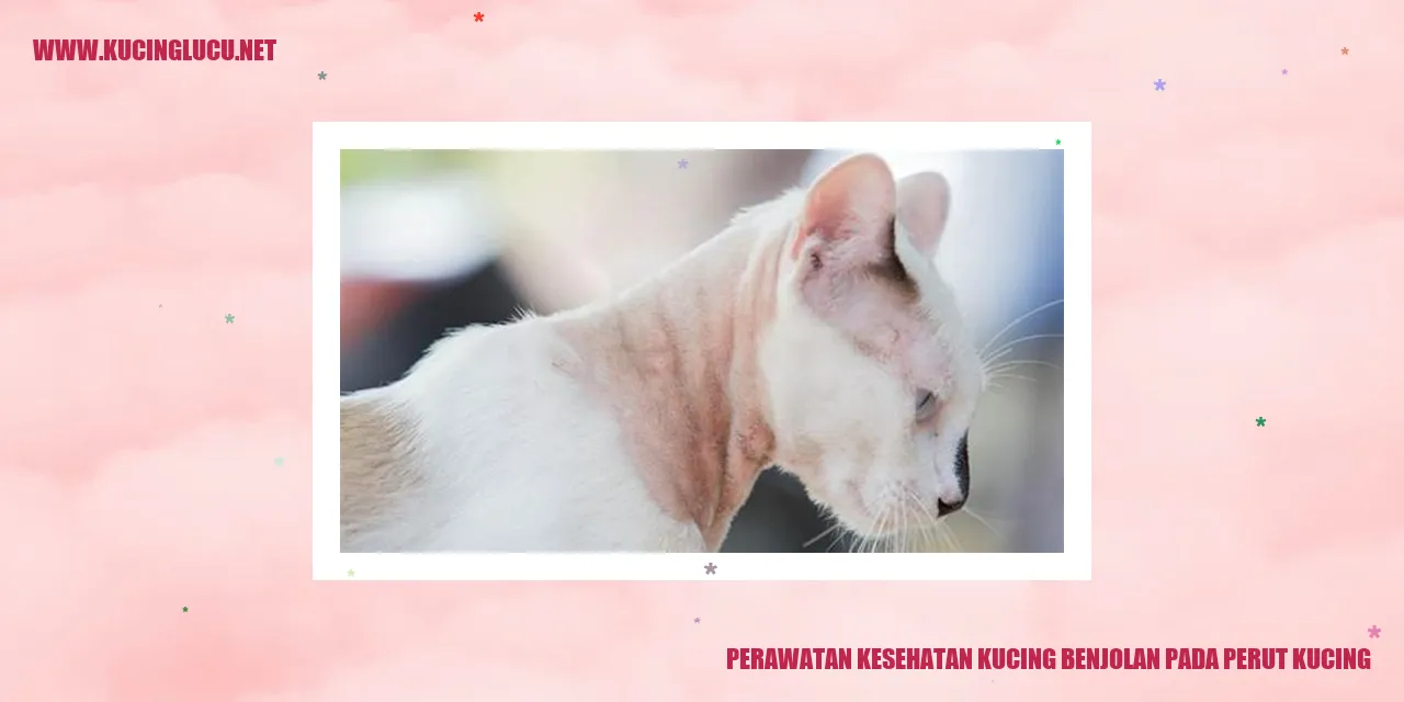 Gambar perawatan kesehatan kucing