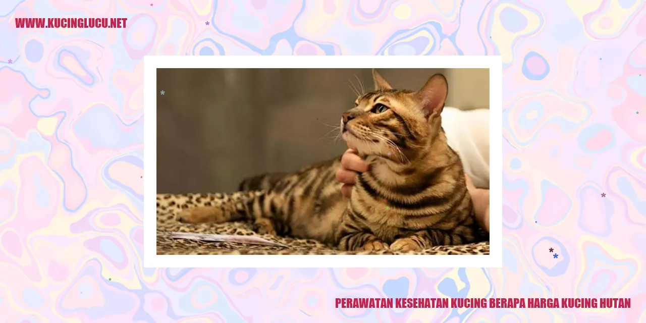 Perawatan Kesehatan Kucing dan Harga Kucing Hutan