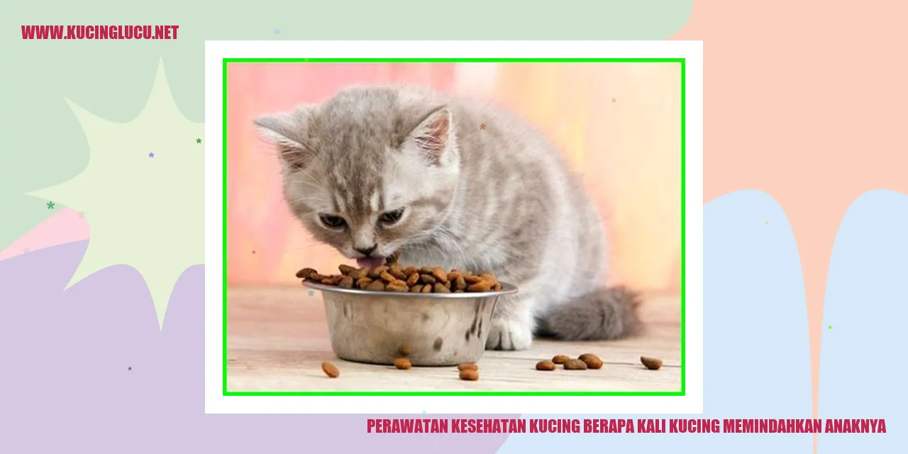 Perawatan Kesehatan Kucing