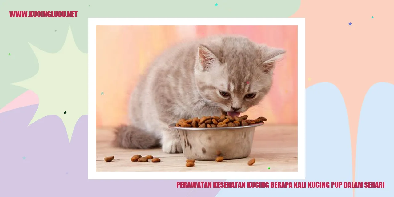 Kucing sehat dan bahagia