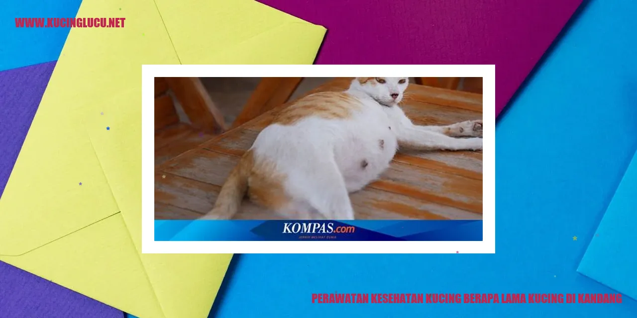 Kucing di Kandang