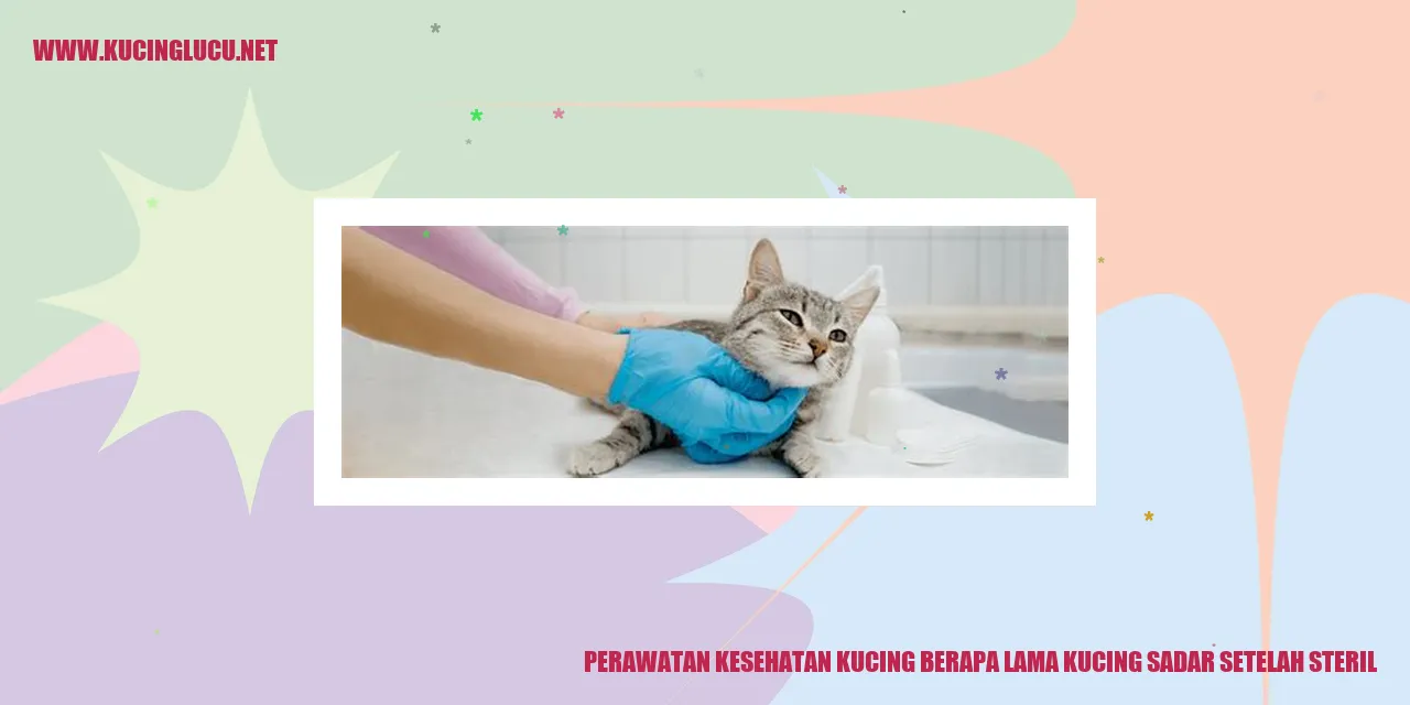 Perawatan Kesehatan Kucing
