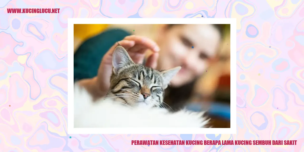 Perawatan Kesehatan Kucing