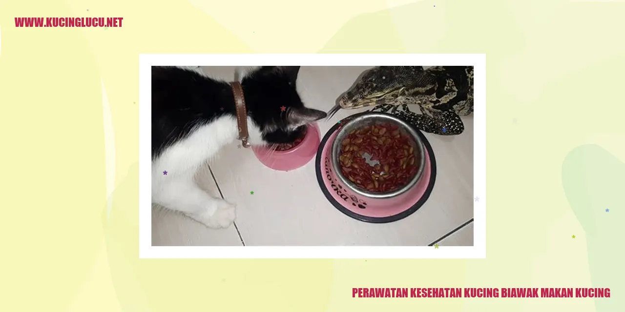 Perawatan Kesehatan Kucing Biawak yang Makan Kucing