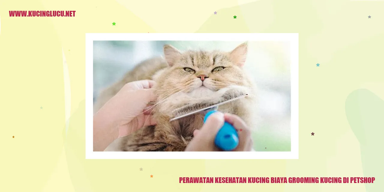 Perawatan Kesehatan Kucing