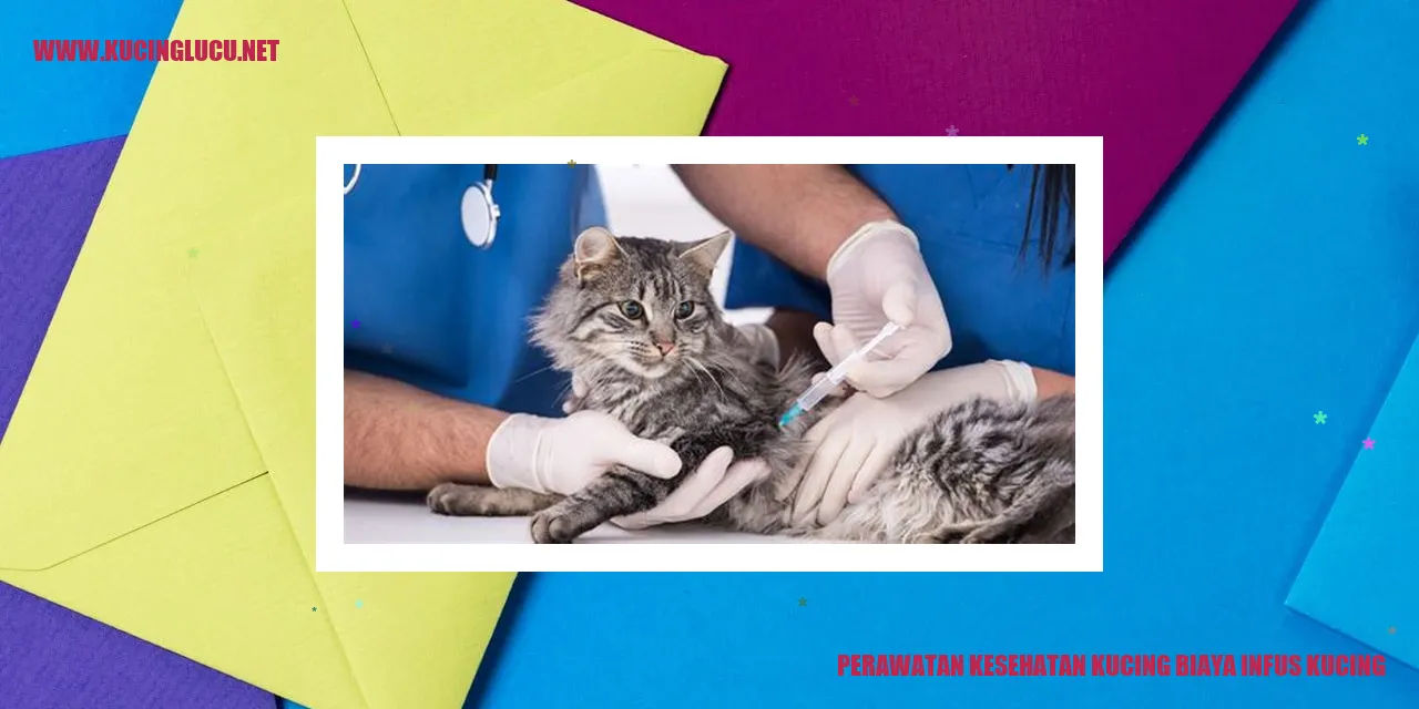 Perawatan Kesehatan Kucing