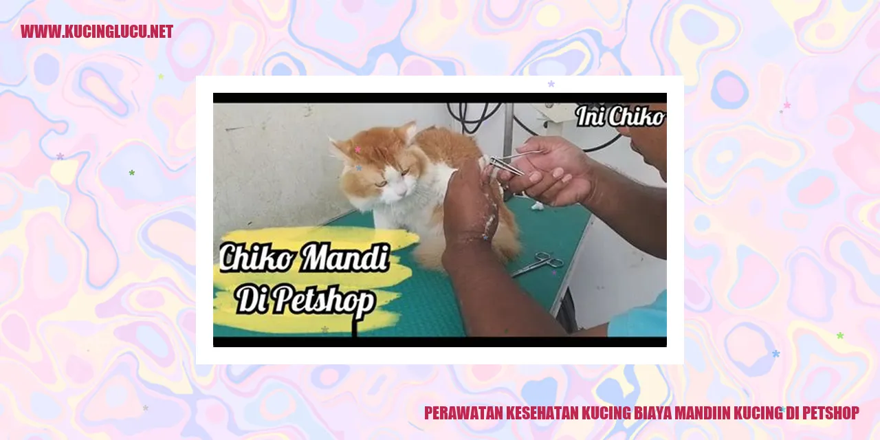 Perawatan Kesehatan Kucing