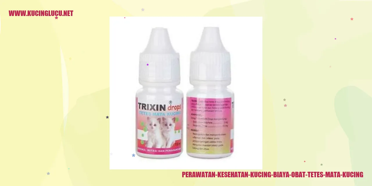 Perawatan Kesehatan Kucing: Biaya Obat Tetes Mata Kucing