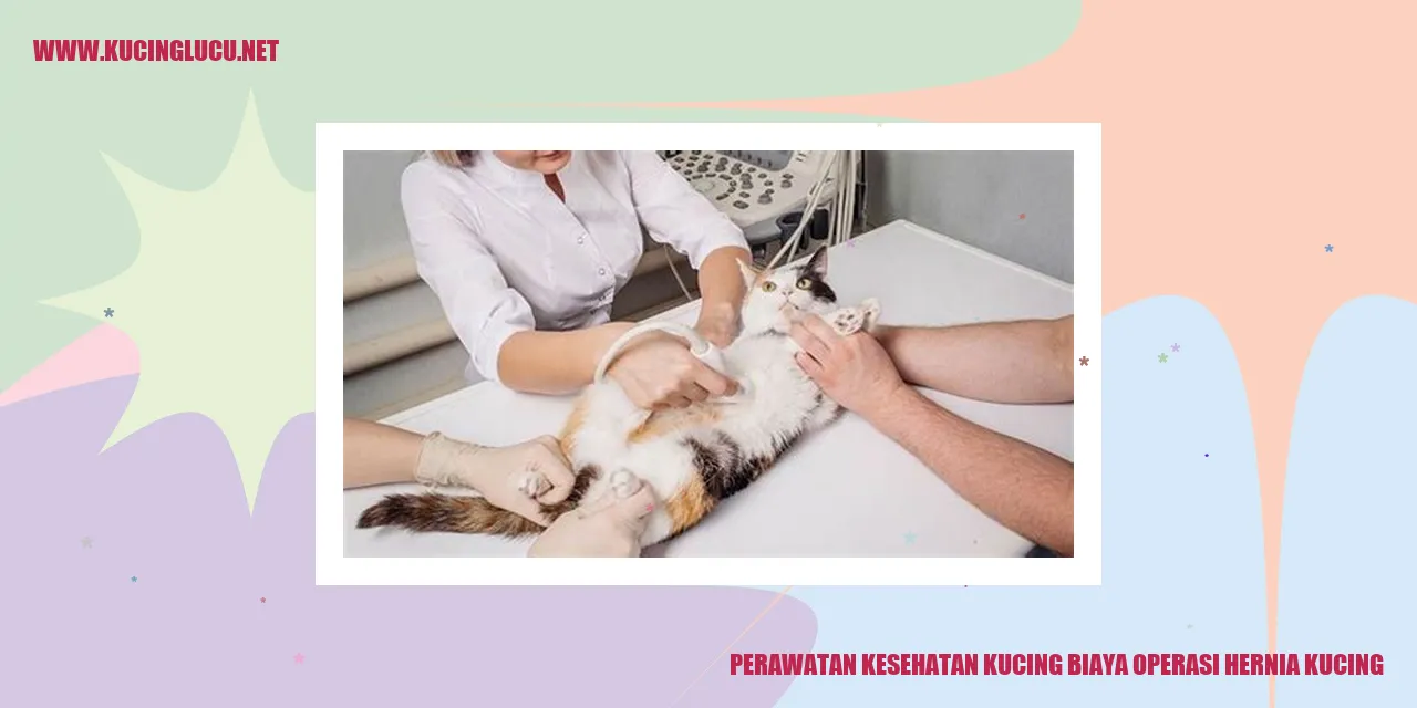 Gambar Kucing