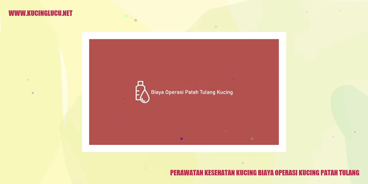 Gambar penanganan kesehatan kucing