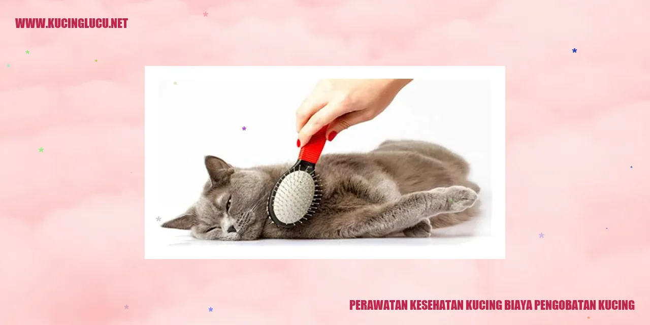 Perawatan Kesehatan Kucing biaya pengobatan kucing