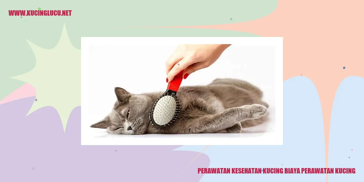 Gambar kucing sehat